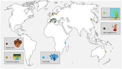 Editorial: Restoration of coastal marine ecosystems